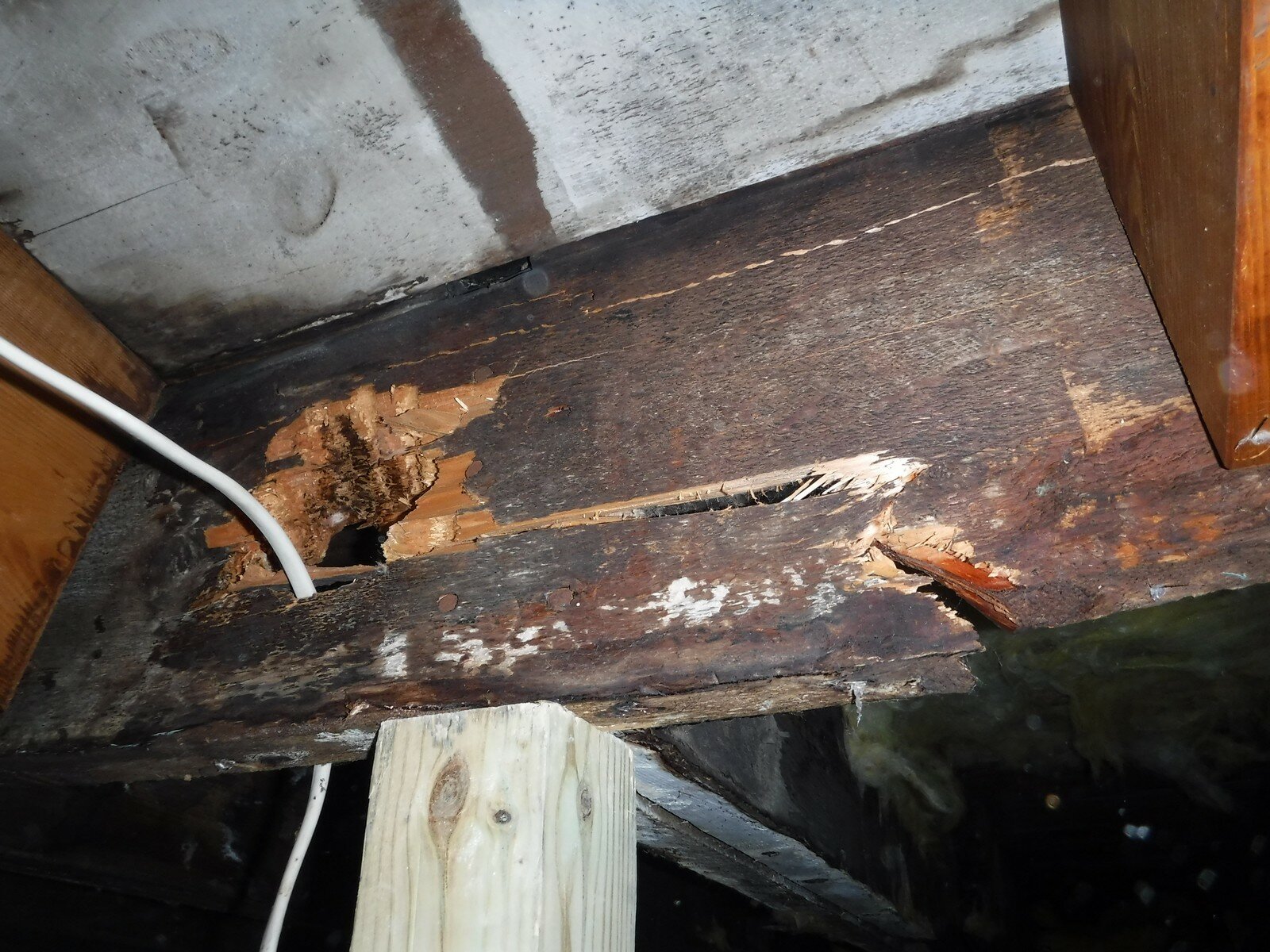 Historic Retail Building Water Intrusion Assessment Project Red Wing, MN