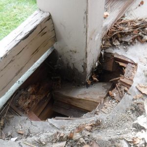 Damaged Deck with debris