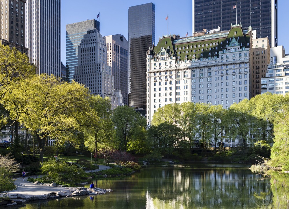 Plaza Hotel Exterior Façade Project New York, NY